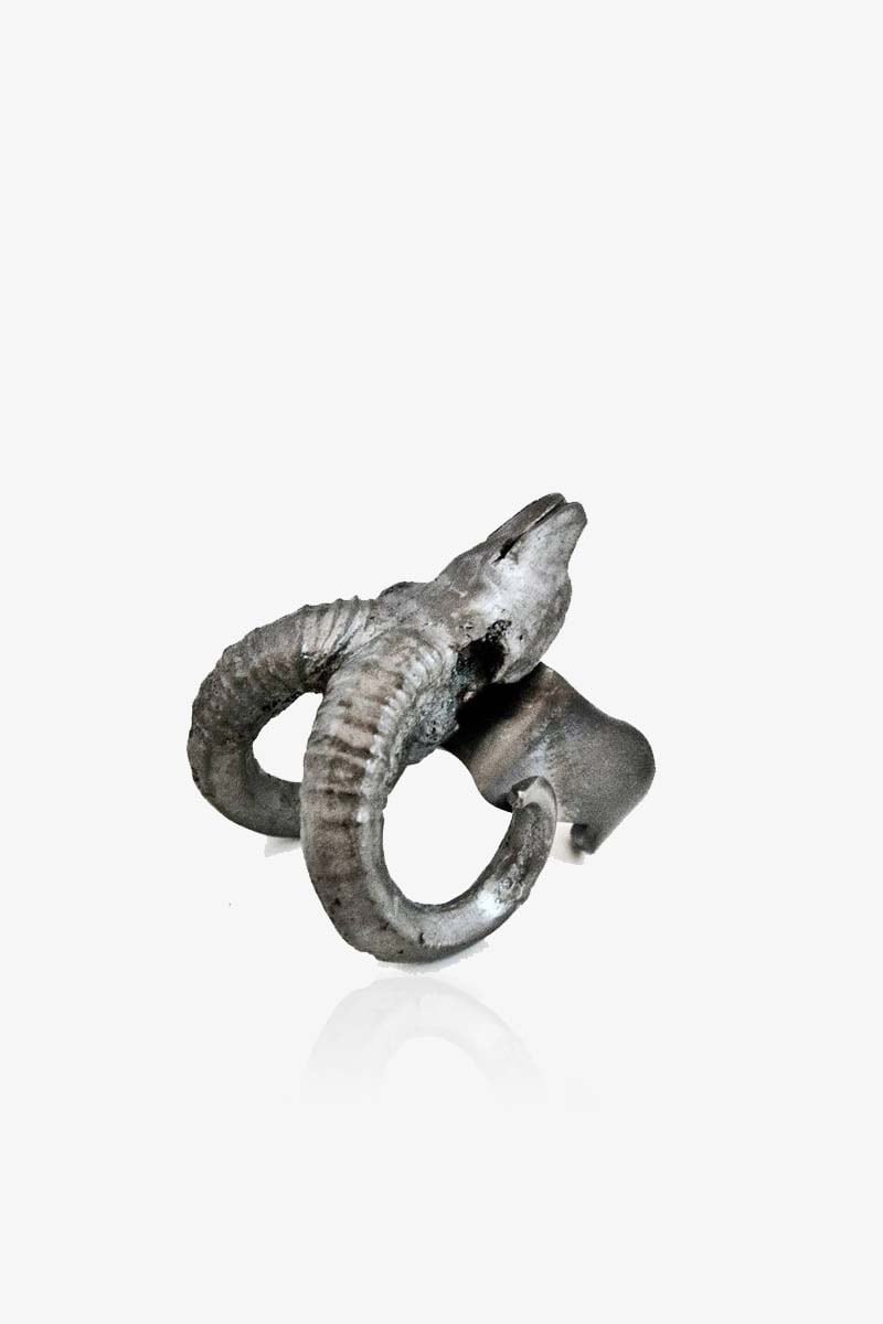 Ram Ring